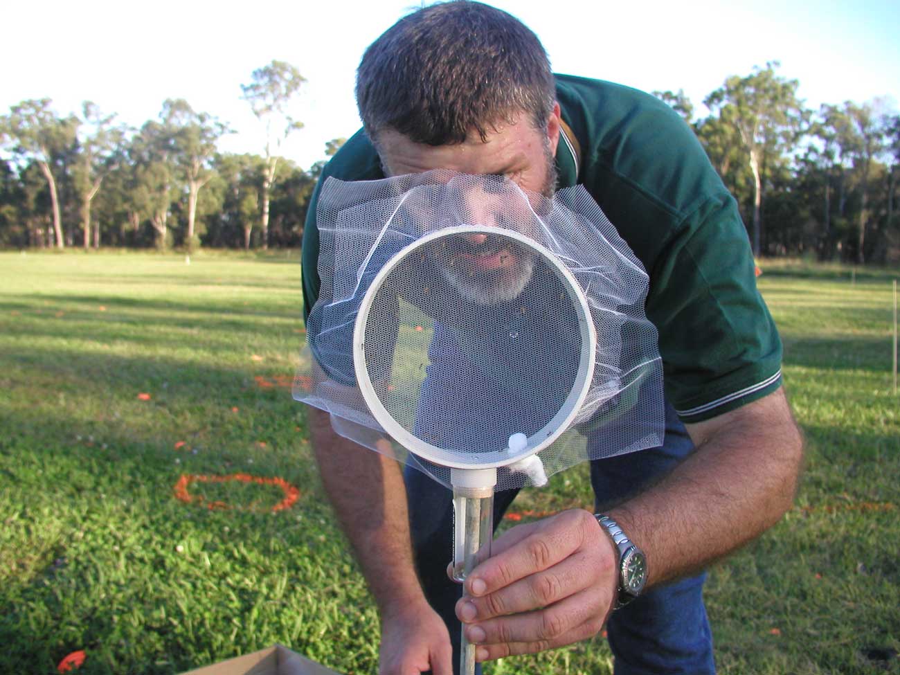 Caged mosquitoes ready for exposure