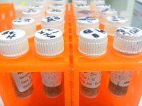 Samples for identification in laboratory